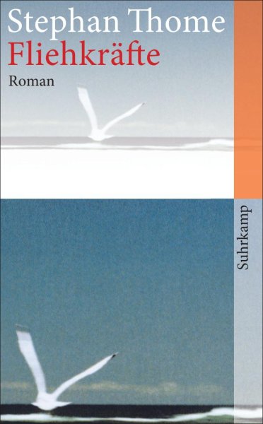 Buchcover: Fliehkräfte