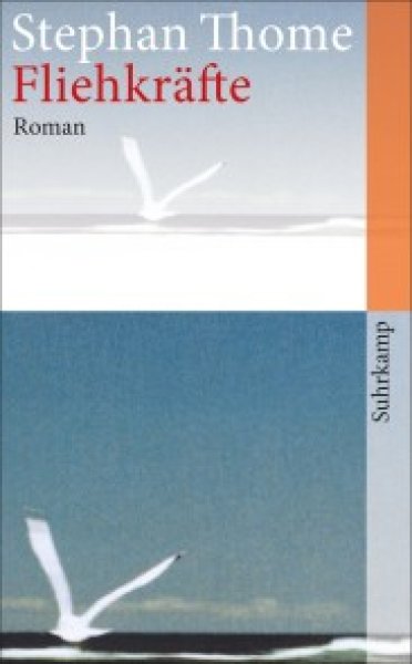 Buchcover: Fliehkräfte
