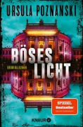 Buchcover: Böses Licht