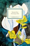 Buchcover: Erinnerung an Hans