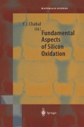 Buchcover: Fundamental Aspects of Silicon Oxidation